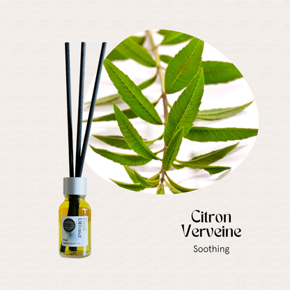 FAVORI Scents Mini Reed Diffusers: fiber sticks, green verbena leaves, Citron Verveine Soothing.