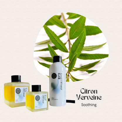 Three Citron Verveine Trio Reed Diffusers by FAVORI Scents evoke citrus aroma, set before green leaves.