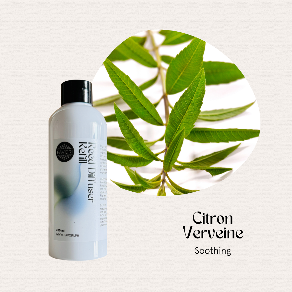 FAVORI Scents Citron Verveine Reed Diffuser Refill (RDR) with fiber sticks beside fresh green leaves.