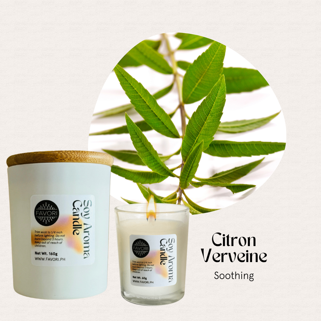 The All Occasion soy candle by FAVORI Scents, with green verbena leaves, is ideal for eco-friendly aroma lovers.